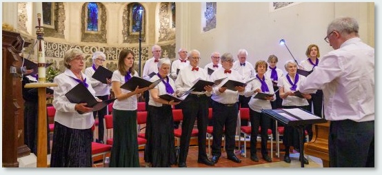 Choir in Concert